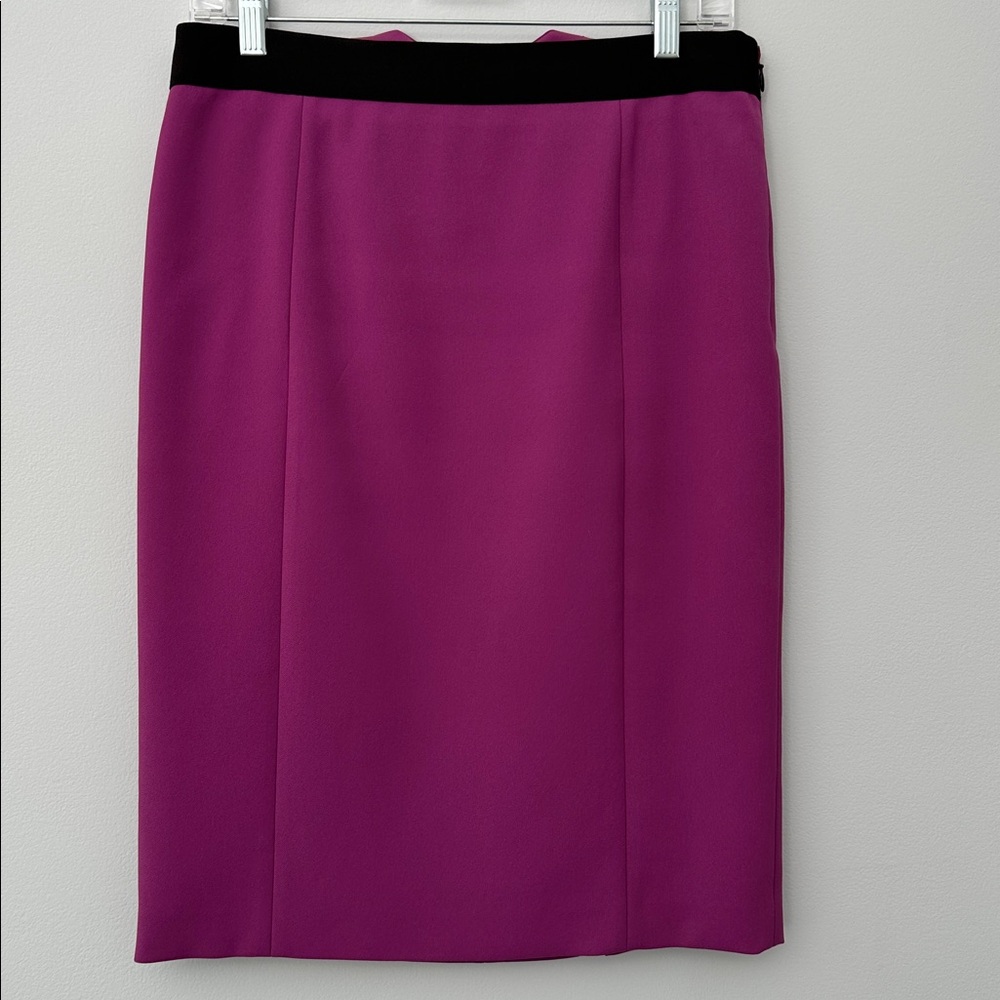 Elegant Pencil Skirt